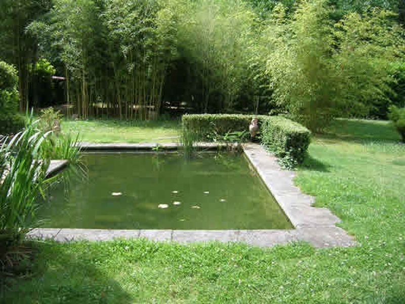 aménagement de  bassin sur mesure à Lyon