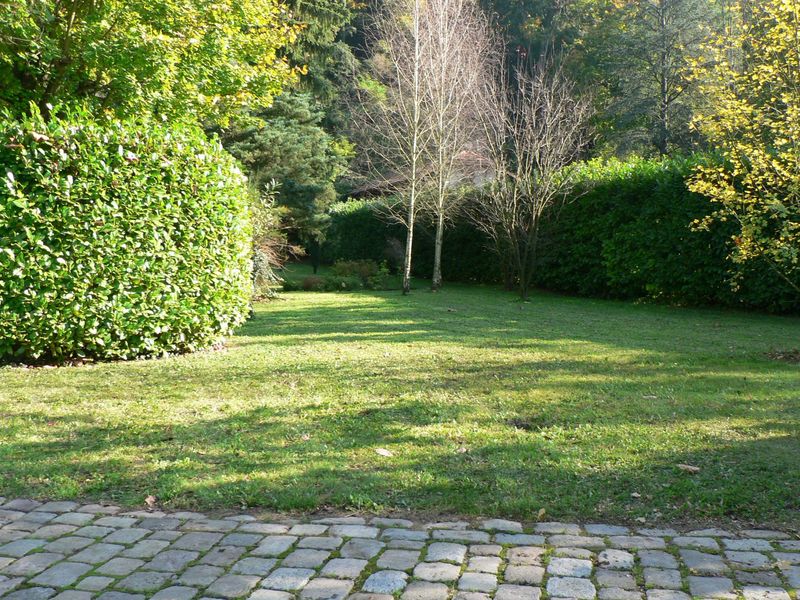 entretien espaces verts à Caluire et Lyon