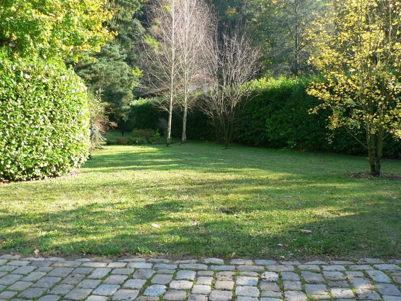 Entretien d'espaces verts à caluire copropriétés et particuliers, taille de haies, tonte, nettoyage de jardin à Lyon 