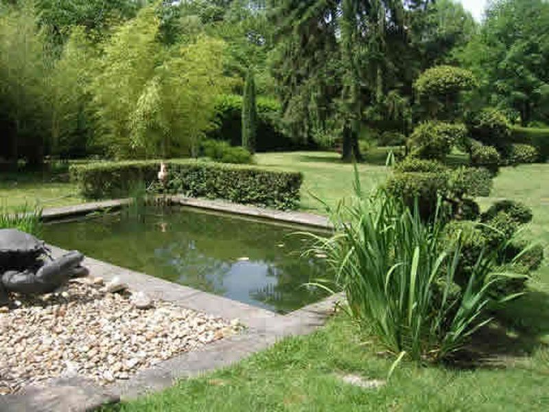 amenagement d'un bassin naturel et végétalisé sur saint didier au mont d'or