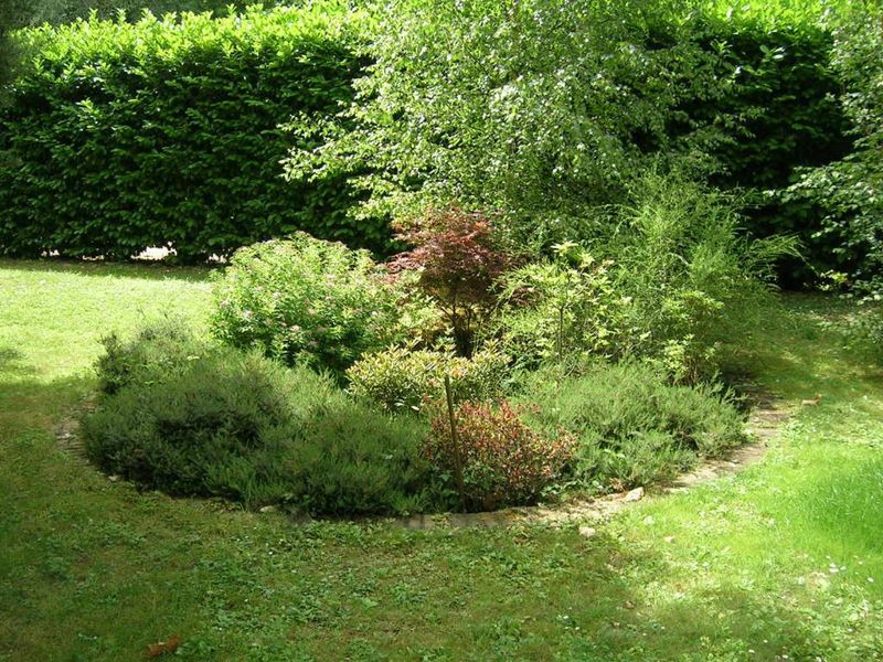 entretien de jardin à montanay taille de haie déduction d'impôts