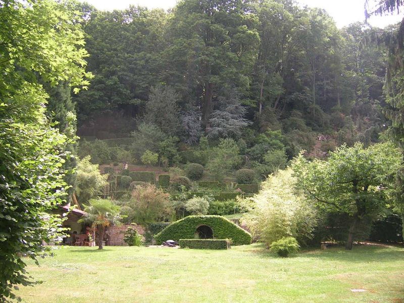 entretien de jardin taille de haie  déduction d'impôts fontaines saint martin