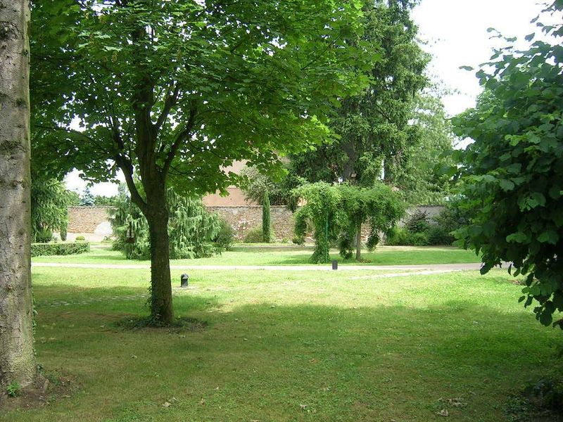 entretien de jardin, tonte, taille, en bénéficiant de déduction d'impôts à saint cyr au mont d'or