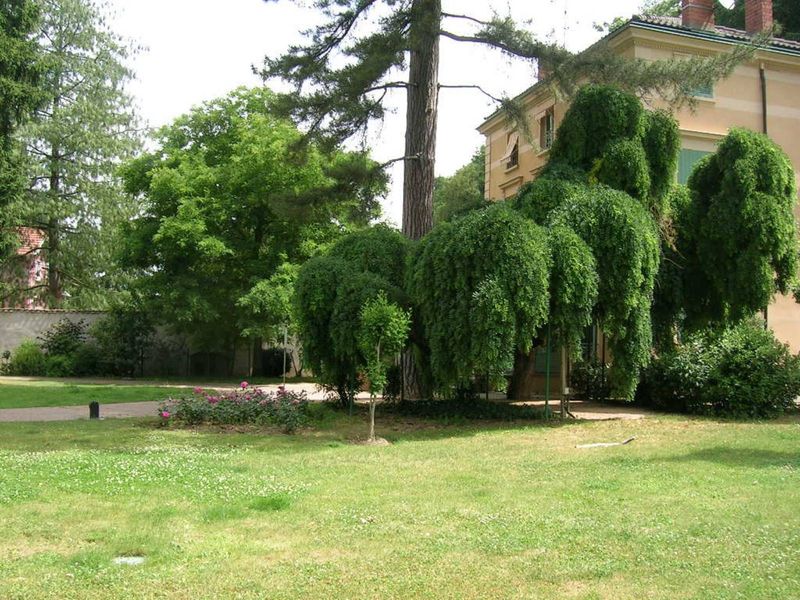 entretien de jardin, taille de haie, déduction d'impôts à sathonay village cailloux sur fontaines