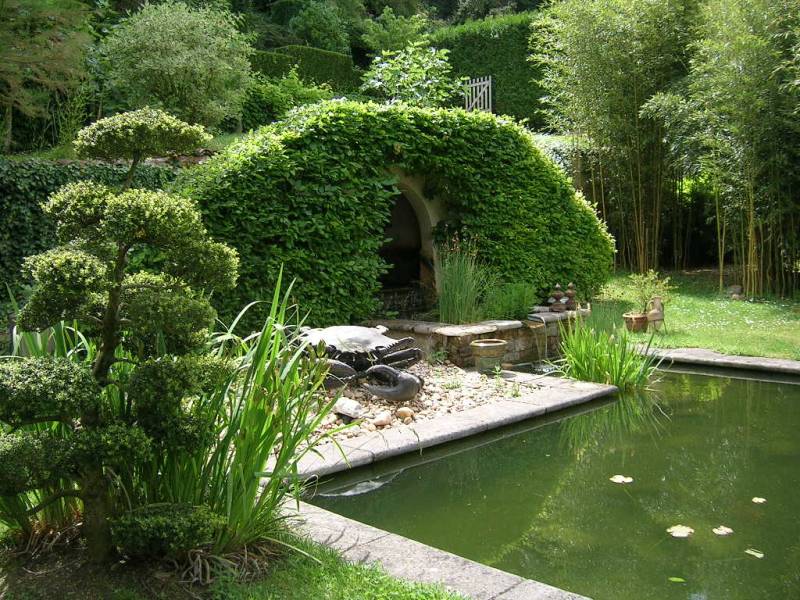 Taille d'arbustes en nuage dans les monts d'or