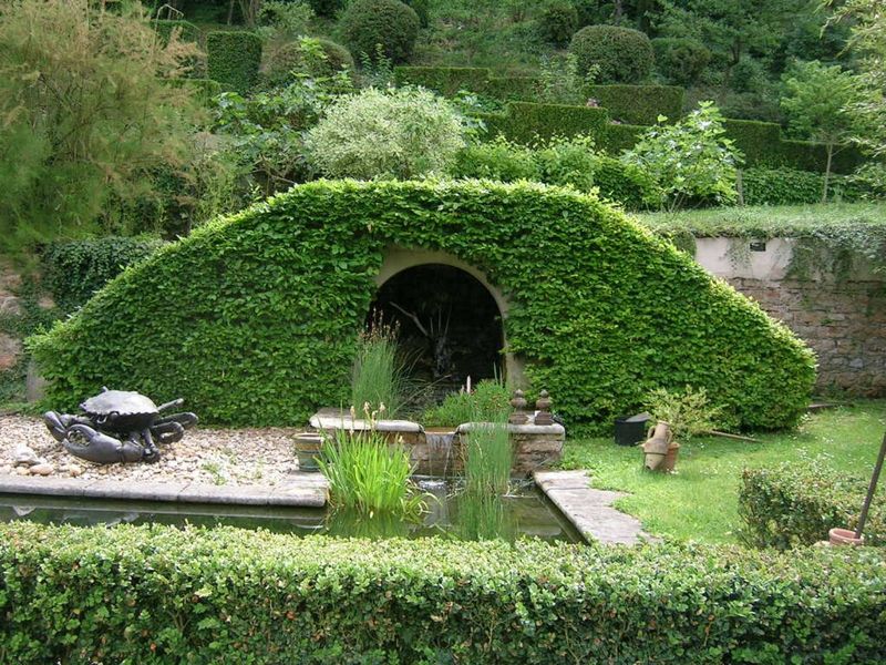 entretien de jardin, taille de haie à fontaines saint martin, cailloux sur fontaines