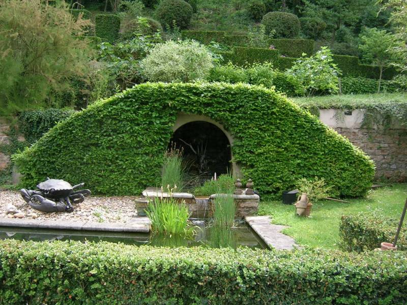Taille de haies à saint Cyr au mont d'or