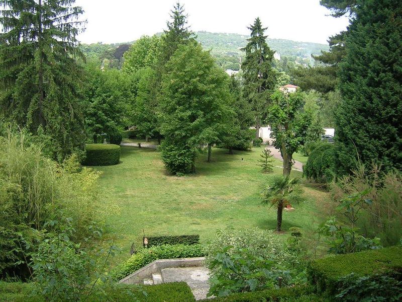 Taille de haie à Dardilly avec déduction d'impôts