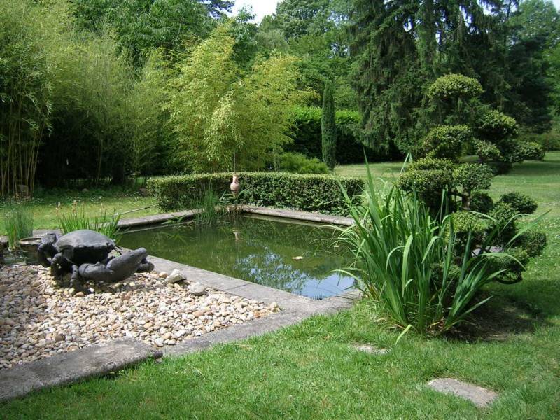 Taille de haies à collonges au mont d'or