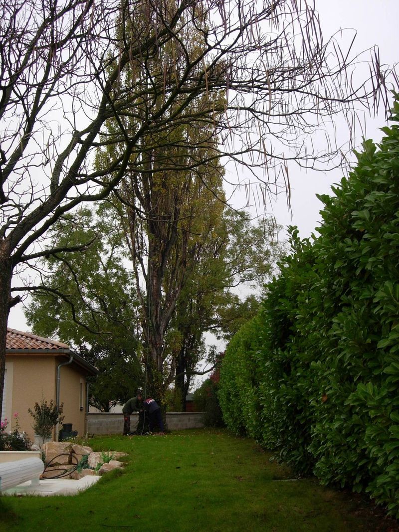 entretien de jardin, taille de haie, déduction fiscale lyon ouest