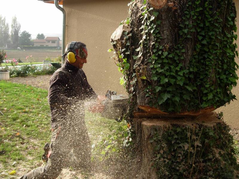 Avance immédiate avec l'URSSAF - service à la personne travaux de jardinage et entretien dans des propriétés proche de Chatillon-sur-Chalaronne