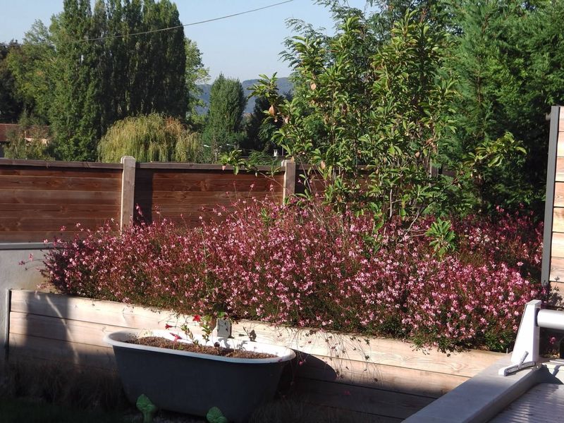 entretien de jardin à cailloux sur fontaines
