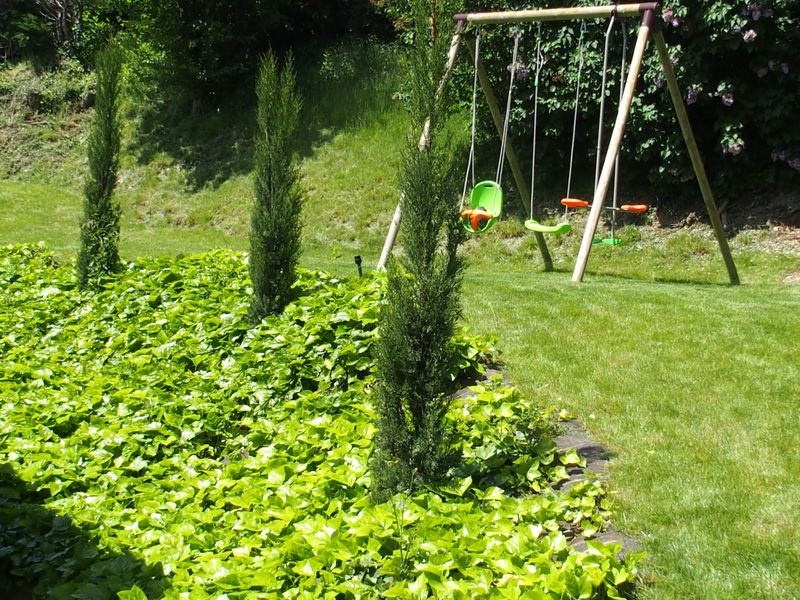 plantations de talus à saint didier au mont d'or