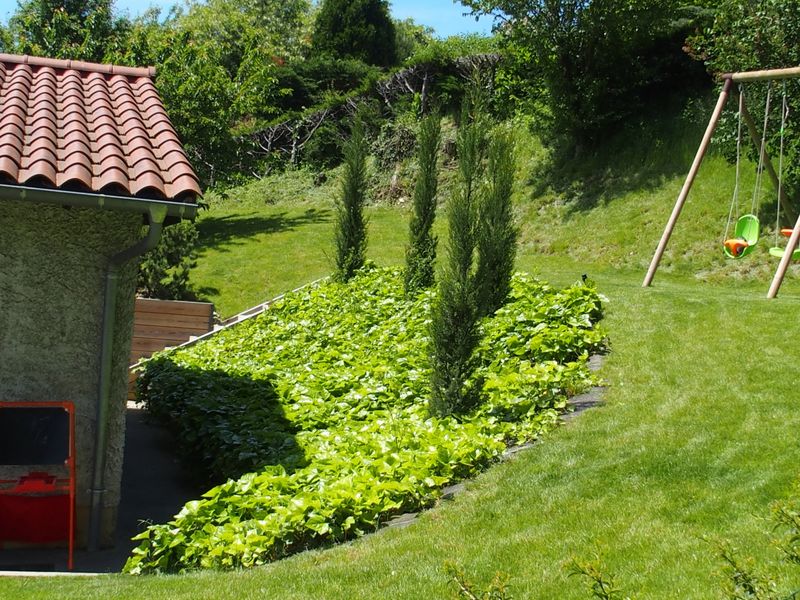 entretien de jardin à cailloux sur fontaines