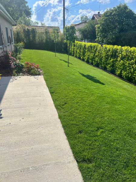Entretien de jardin et espaces verts dans une villa dans l'Ain