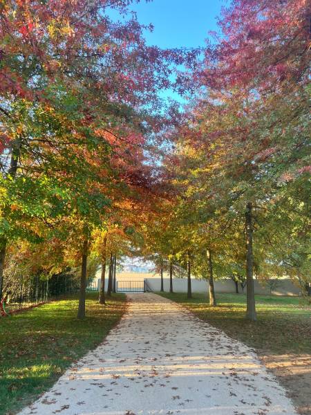 Entretien de parc de propriété à Villars-les-Dombes