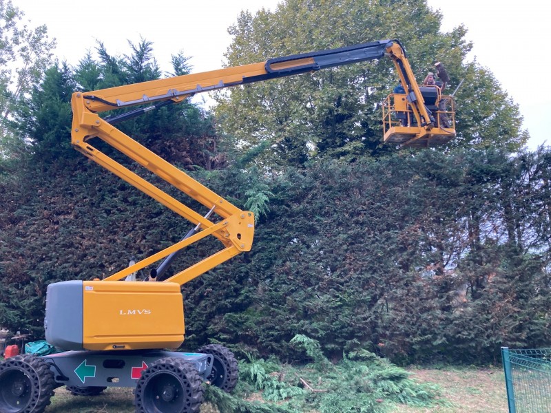 Taille de haie a caluire, dardilly, limonest