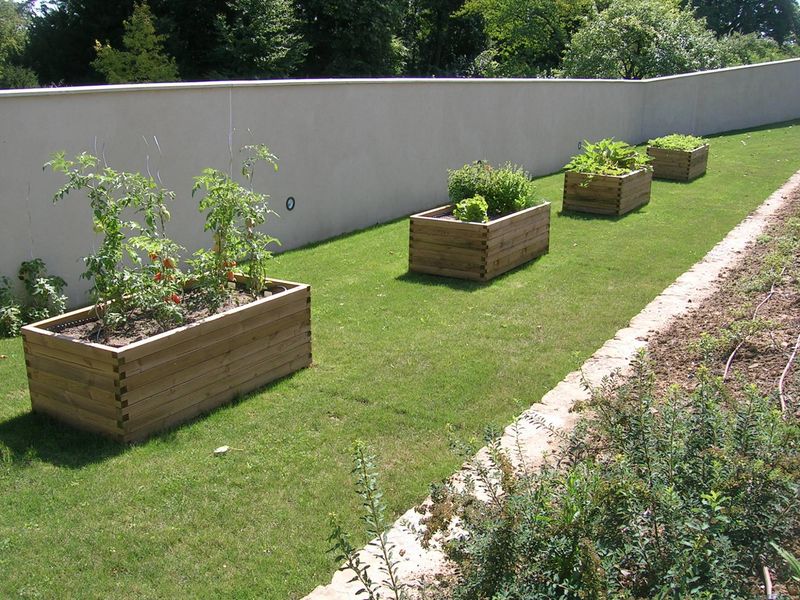 entretien de jardin, taille de haie, tonte à dardilly