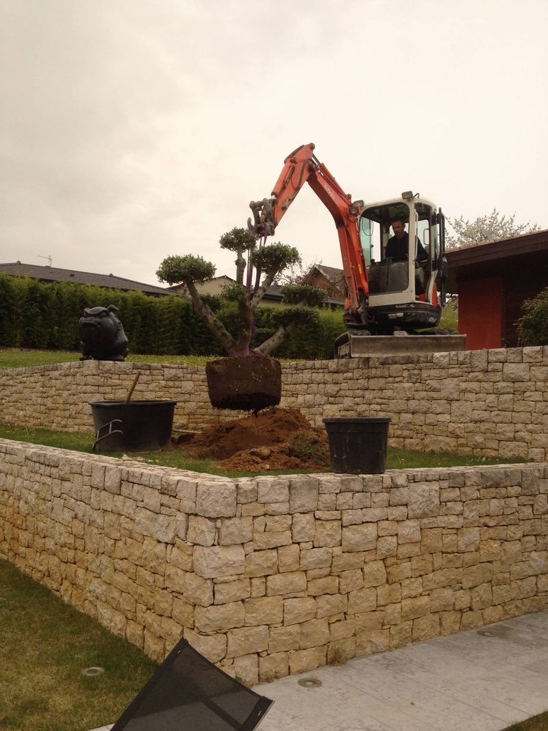 photos d'aménagement de terrain en pente forte en restanque région lyonnaise