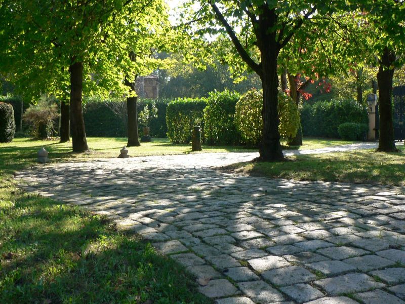 entretien de jardin à fontaines saint martin caluire
