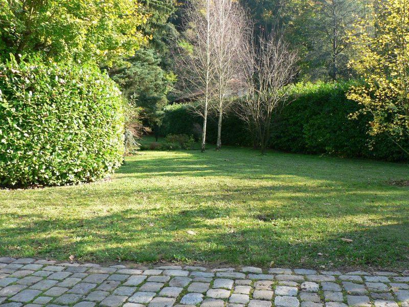 entretien de jardin à fontaine saint martin