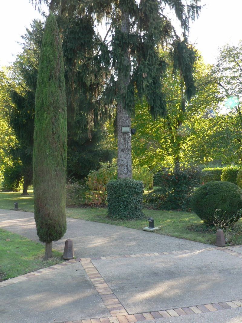 taille de haie, entretien d'espaces verts , déduction d'impôts à caluire