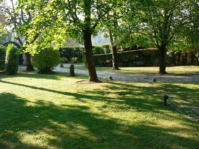 tonte, taille de haie déduction d'impôts  caluire