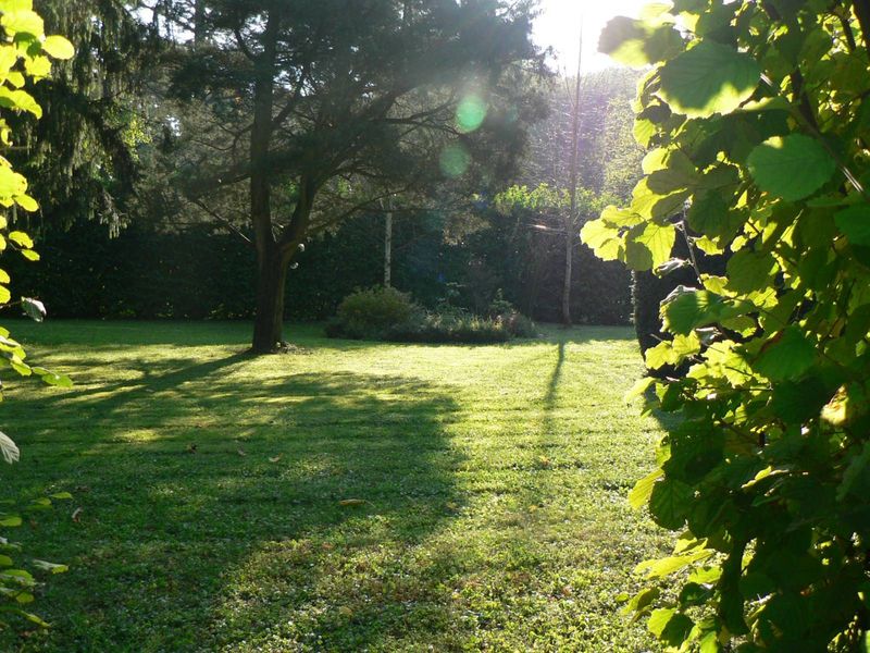 entretien de jardin, taille de haie, tonte, déduction d'impôts à caluire