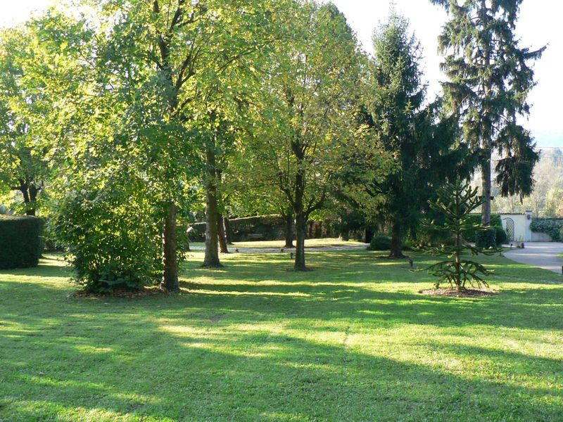 taille de haie et entretien de jardin à sathonay village, déduction d'impôts