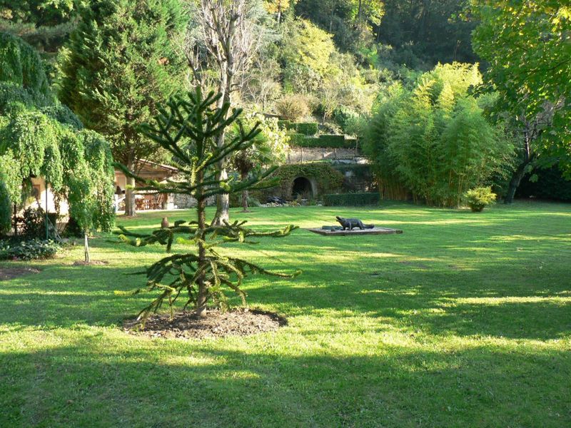 taille de haie à couzon au mont d'or déduction d'impôts