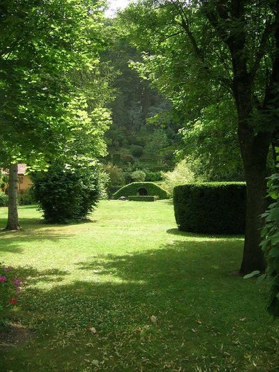Nos prestations sur le secteur de Saint-André-de-Corcy 01
