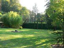 Notre zone d'activité pour ce service Abattage et élagage d'arbre par un paysagiste professionnel